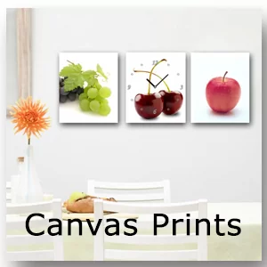 Wall Art and Canvas Prints